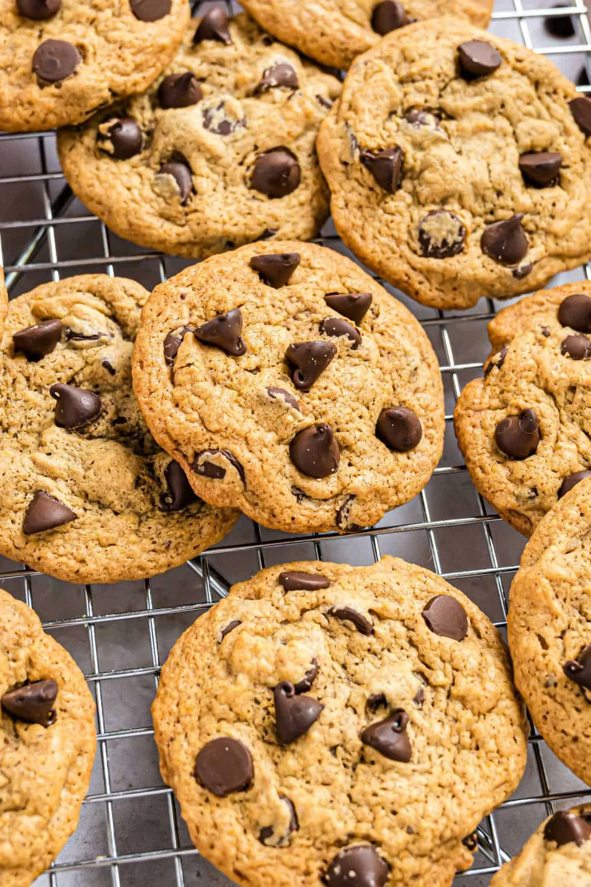 Pumpkin Chocolate Chip Cookies