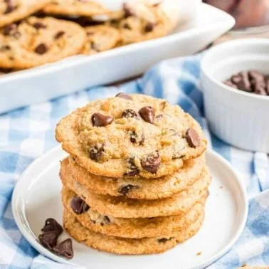 Delicious sugar-free chocolate chip cookies on a plate