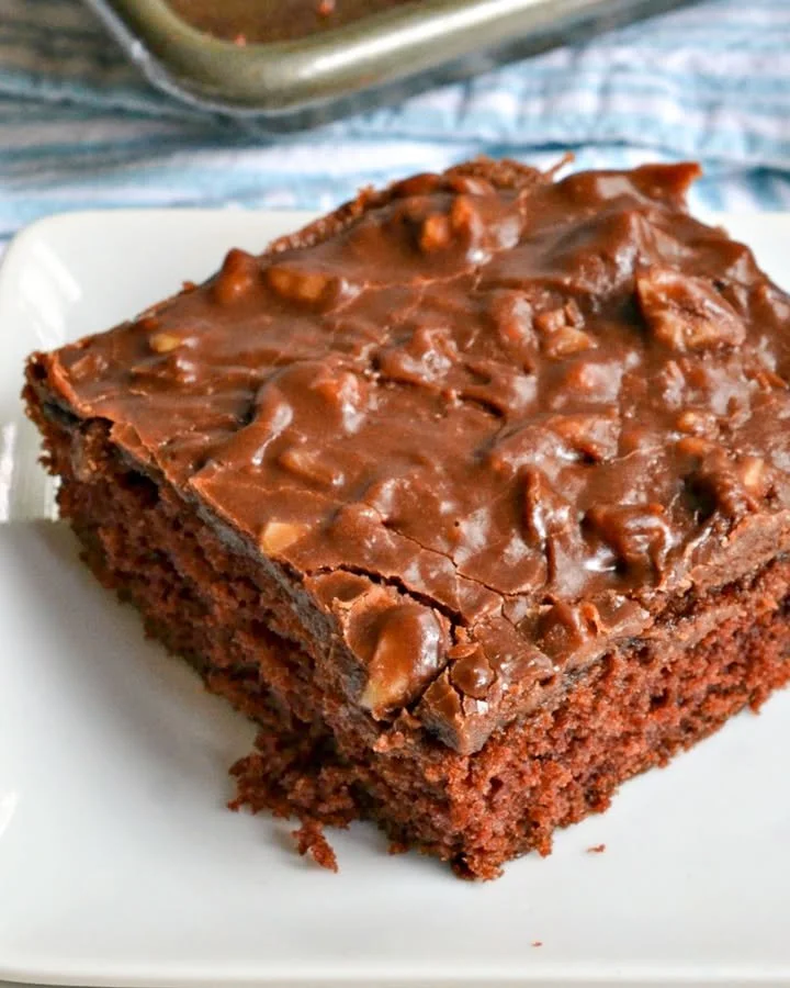 Delicious slice of homemade Texas Sheet Cake with chocolate frosting