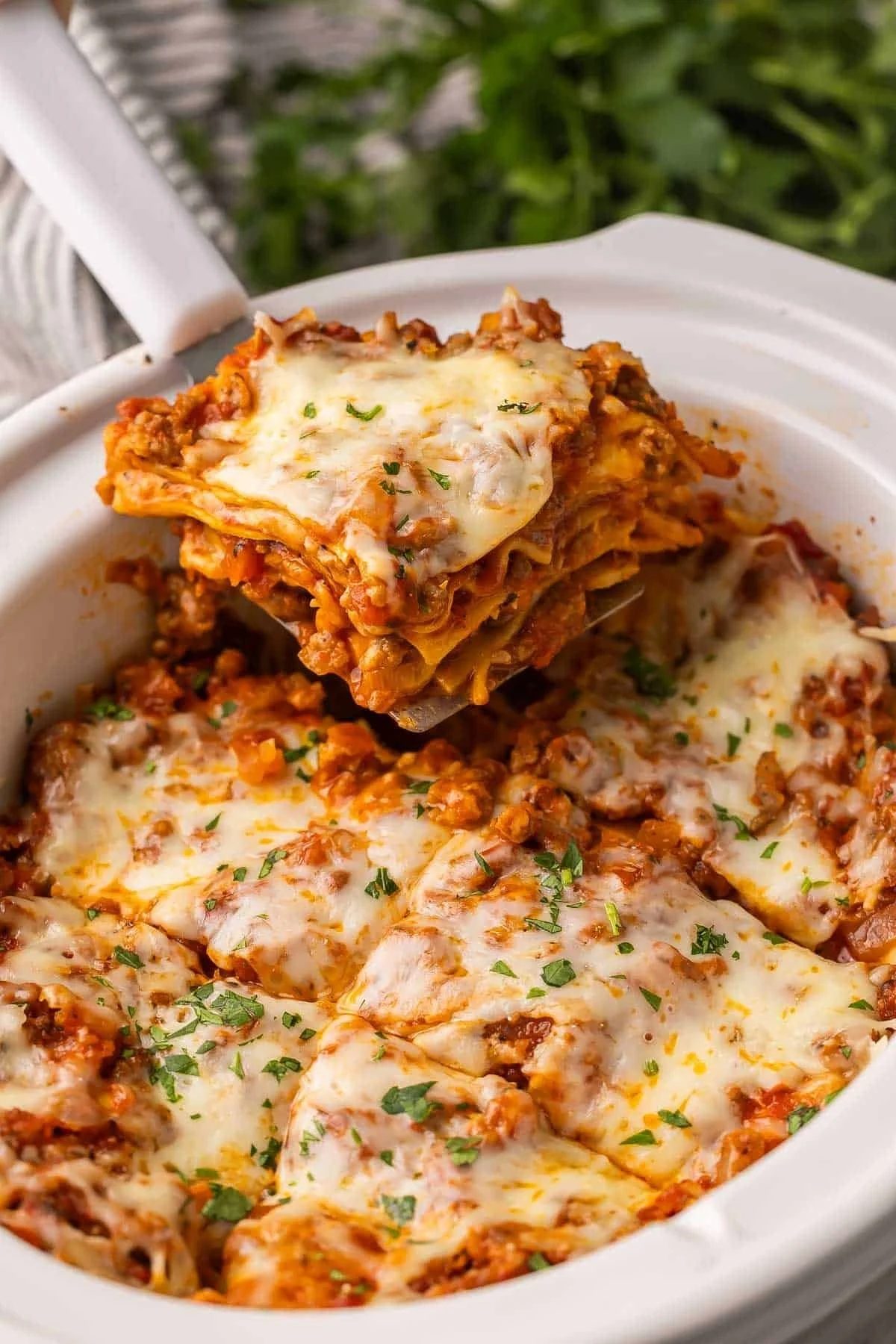 A delicious serving of Crockpot Lasagna layered with cheese and sauce.