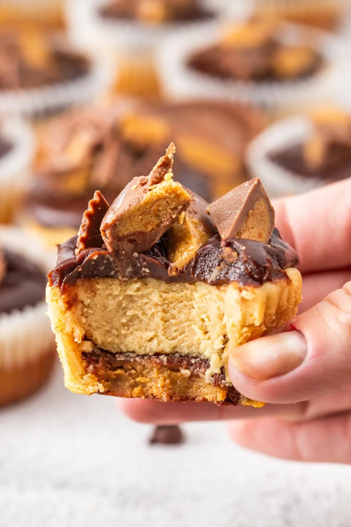 Mini cheesecakes topped with peanut butter cups, perfect for dessert lovers.