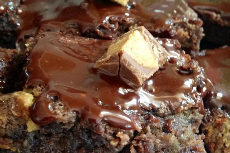 Swirled Peanut Butter Cup Brownies
