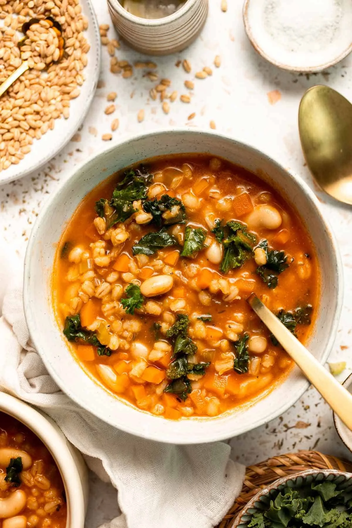 Vegetable Barley Soup